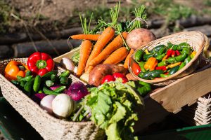 Fresh vegetables in a wheelbarrow
